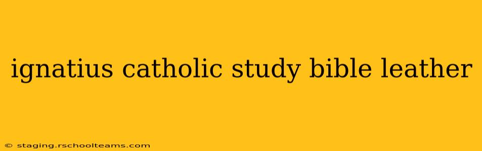 ignatius catholic study bible leather