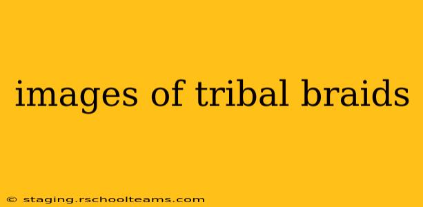 images of tribal braids