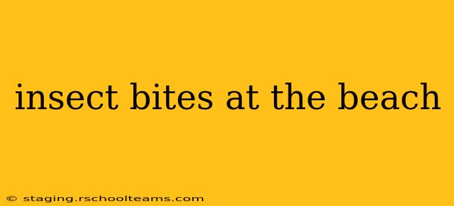 insect bites at the beach