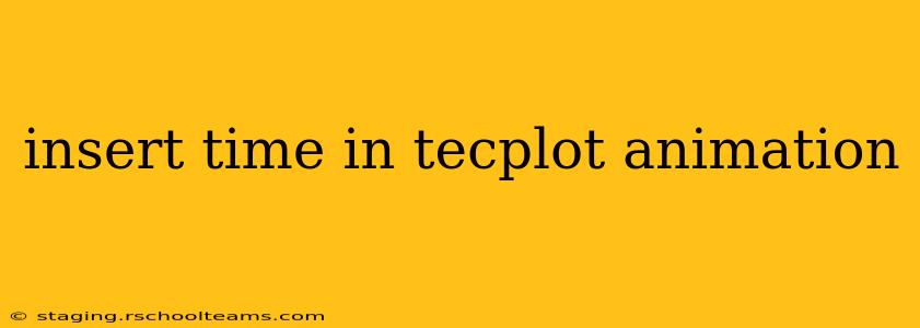 insert time in tecplot animation