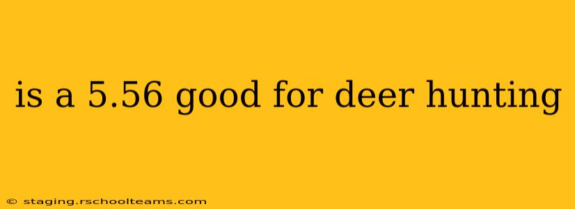 is a 5.56 good for deer hunting