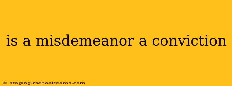 is a misdemeanor a conviction