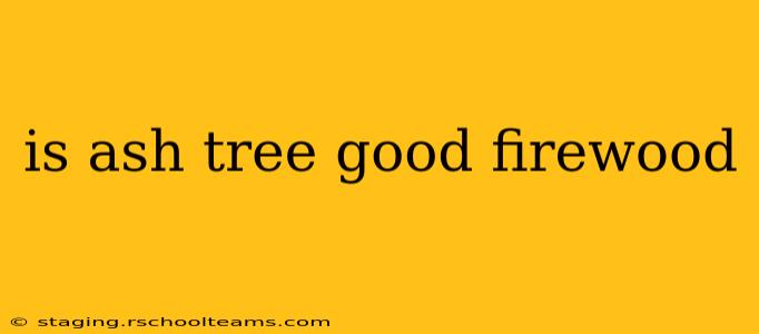 is ash tree good firewood