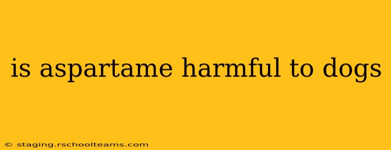 is aspartame harmful to dogs