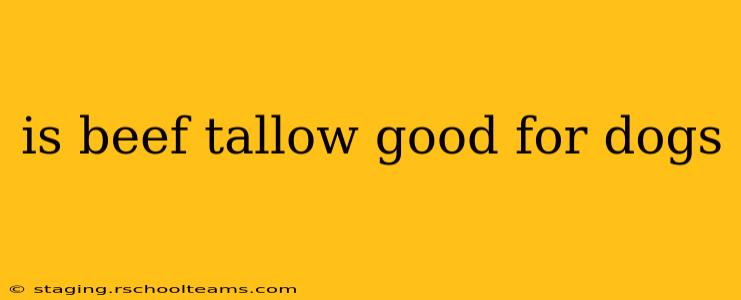 is beef tallow good for dogs
