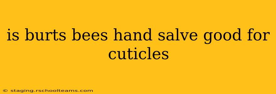 is burts bees hand salve good for cuticles