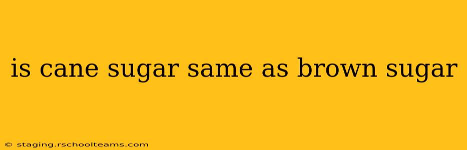is cane sugar same as brown sugar