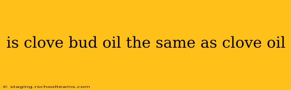 is clove bud oil the same as clove oil
