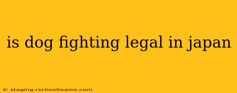 is dog fighting legal in japan
