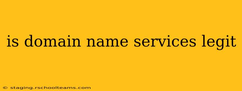 is domain name services legit