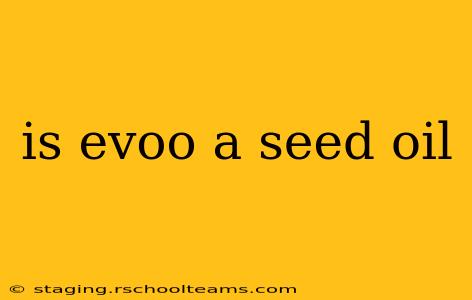 is evoo a seed oil