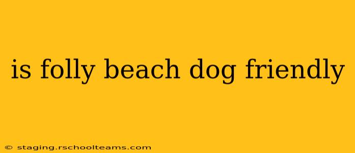 is folly beach dog friendly