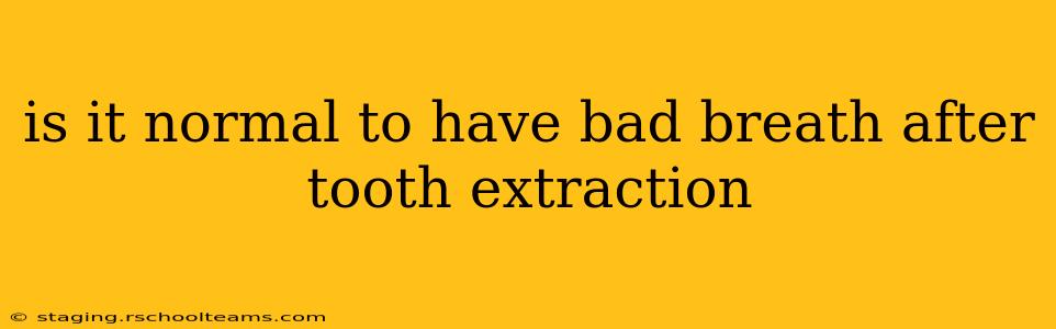 is it normal to have bad breath after tooth extraction