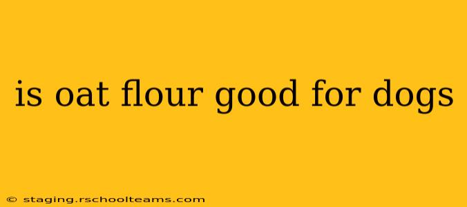 is oat flour good for dogs