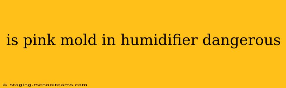is pink mold in humidifier dangerous