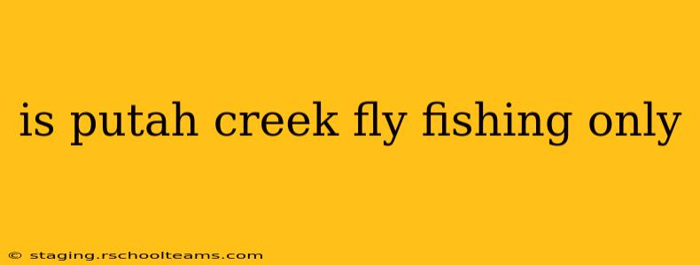 is putah creek fly fishing only