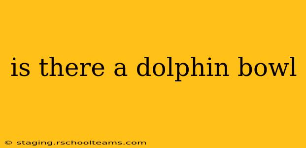 is there a dolphin bowl