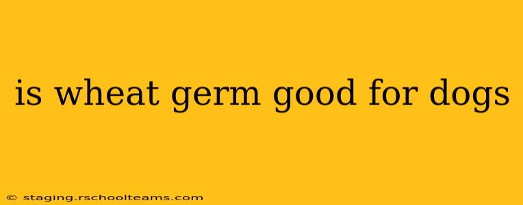 is wheat germ good for dogs