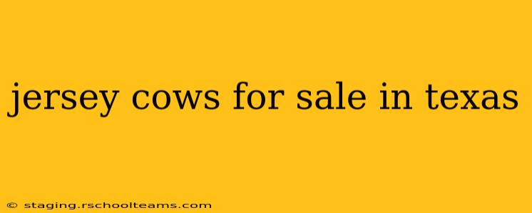 jersey cows for sale in texas