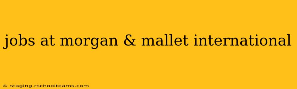 jobs at morgan & mallet international