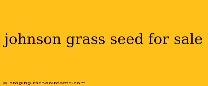 johnson grass seed for sale
