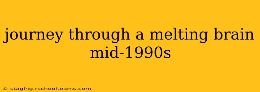 journey through a melting brain mid-1990s