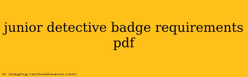 junior detective badge requirements pdf