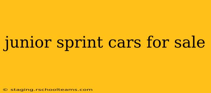 junior sprint cars for sale