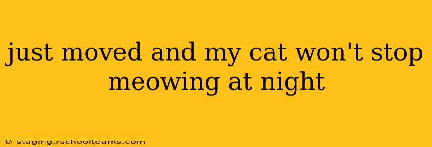 just moved and my cat won't stop meowing at night