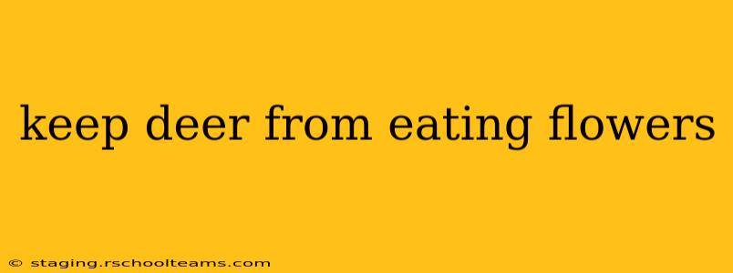keep deer from eating flowers