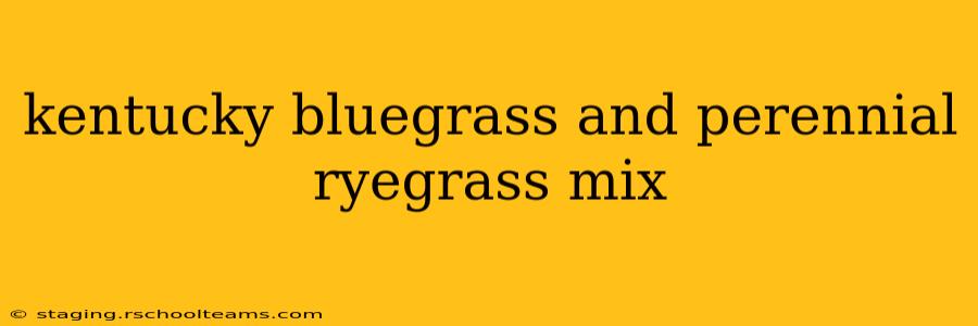kentucky bluegrass and perennial ryegrass mix