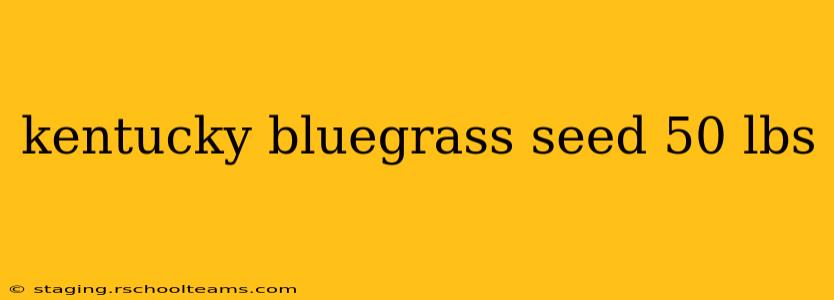 kentucky bluegrass seed 50 lbs
