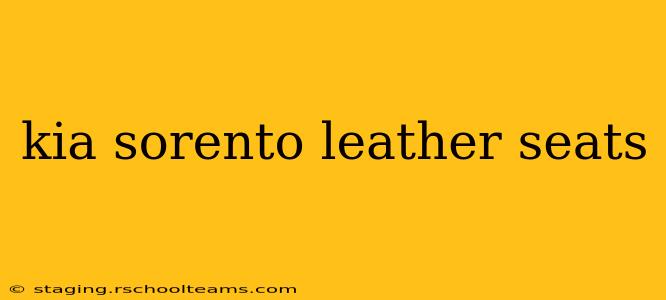 kia sorento leather seats