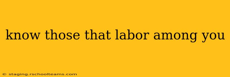 know those that labor among you