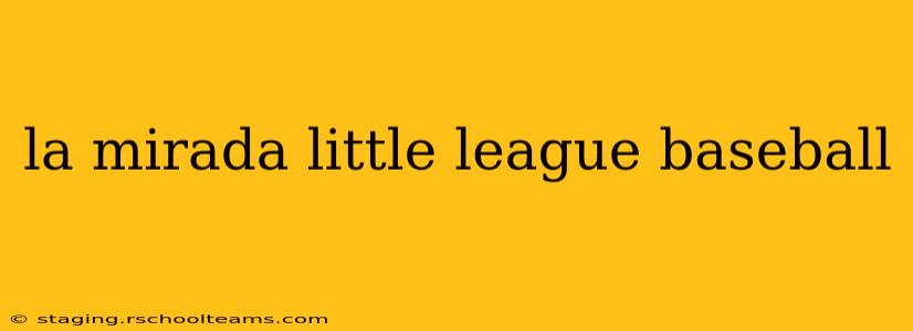 la mirada little league baseball