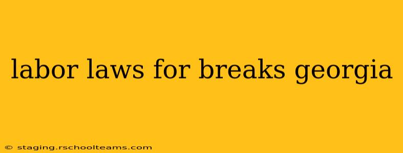 labor laws for breaks georgia