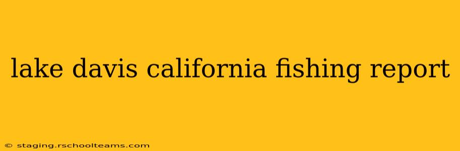 lake davis california fishing report