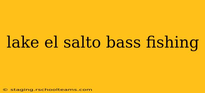 lake el salto bass fishing