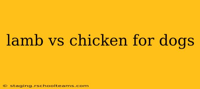 lamb vs chicken for dogs