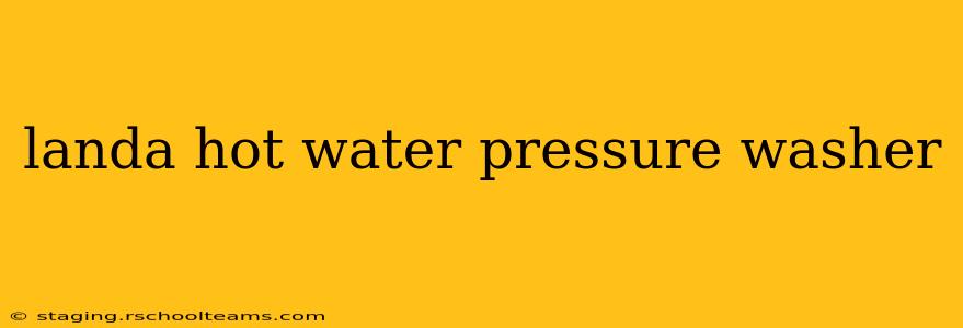 landa hot water pressure washer