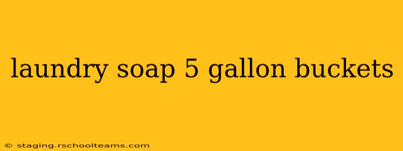 laundry soap 5 gallon buckets