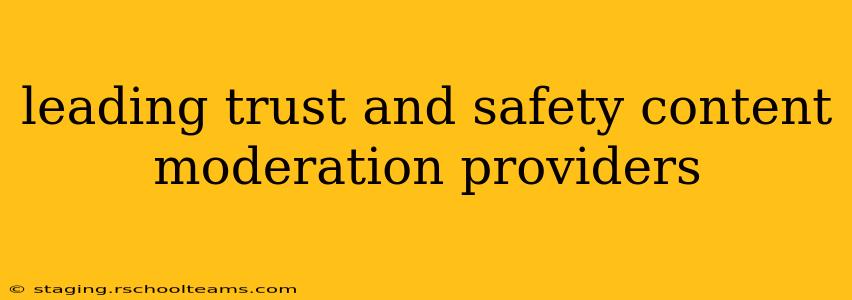 leading trust and safety content moderation providers