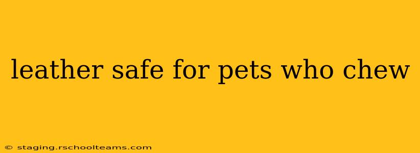 leather safe for pets who chew