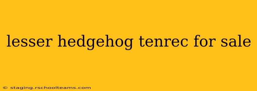 lesser hedgehog tenrec for sale