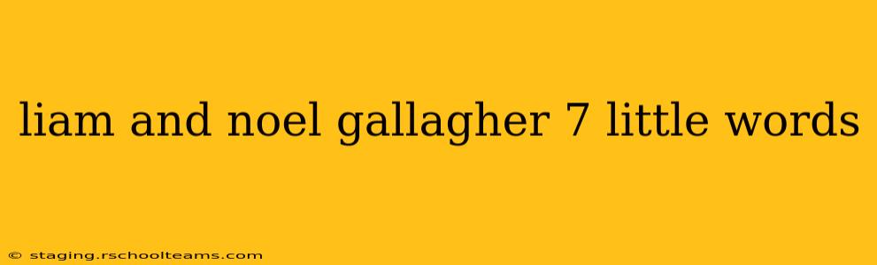 liam and noel gallagher 7 little words