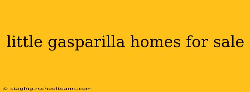 little gasparilla homes for sale