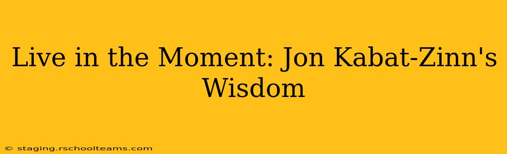 Live in the Moment: Jon Kabat-Zinn's Wisdom