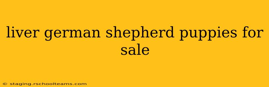 liver german shepherd puppies for sale