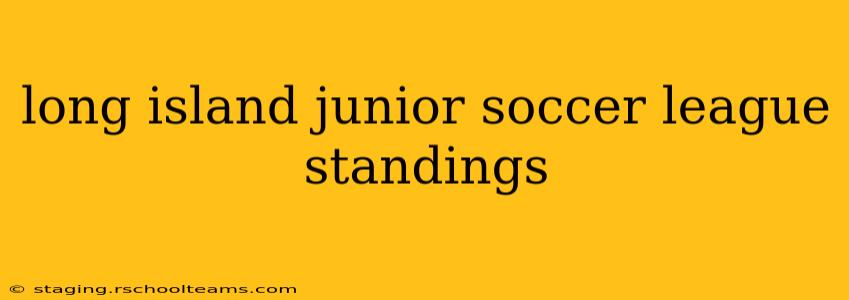 long island junior soccer league standings