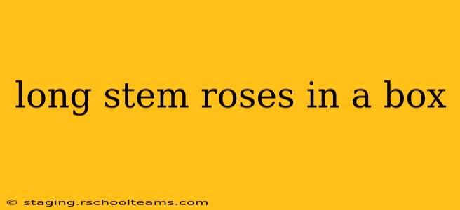 long stem roses in a box